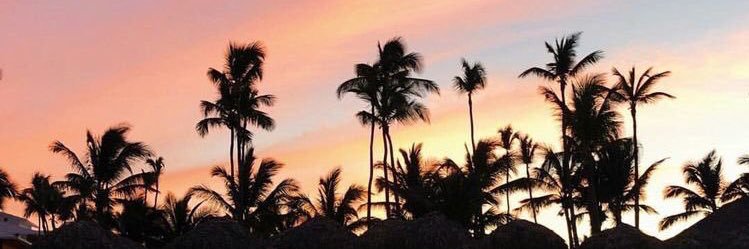aaandrelli's profile banner image