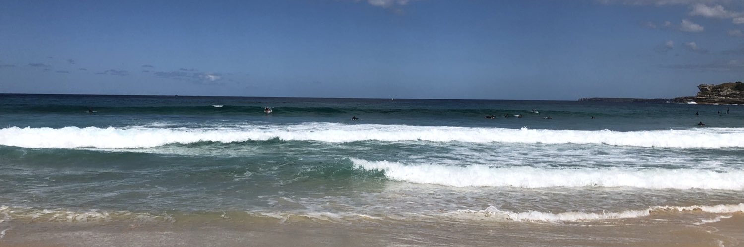 Diana Newport-Peace banner