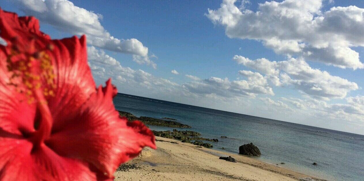 2_paoooooon's profile banner image