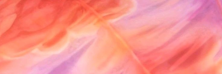 𝖌𝖎𝖌𝖎 𖤐 loves something beautiful banner
