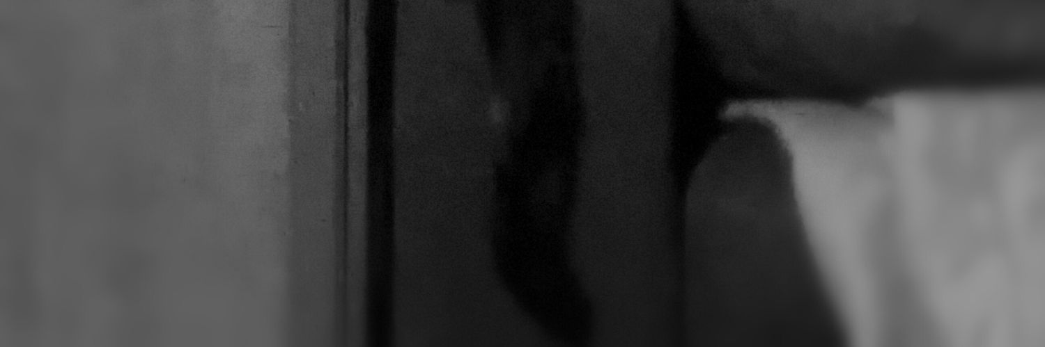 Laura Roine banner