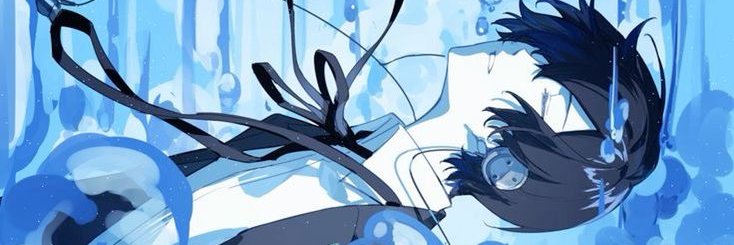 cert. flower boy 🐝 🇵🇸 banner