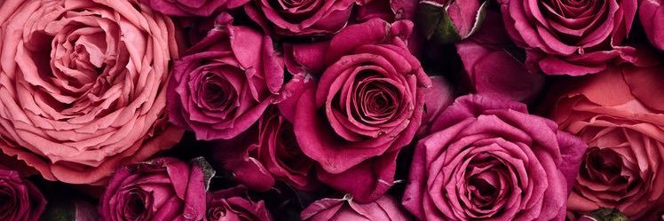 graceecooook's profile banner image