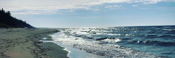 JenNedeau Profile Banner