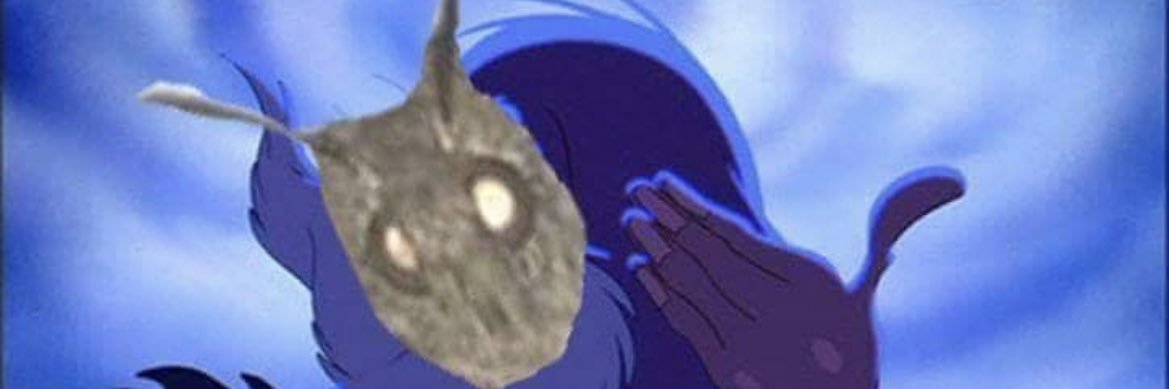 Coontzz's profile banner image