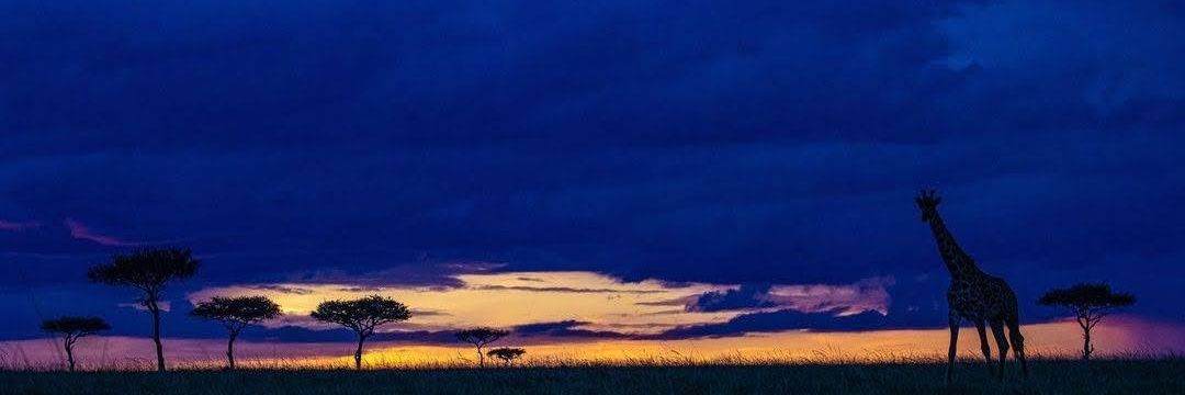 _chrisart's profile banner image
