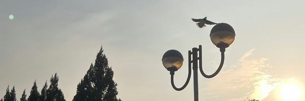 Octabore Profile Banner