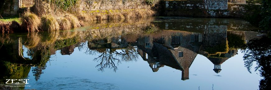 zestphotography's profile banner image
