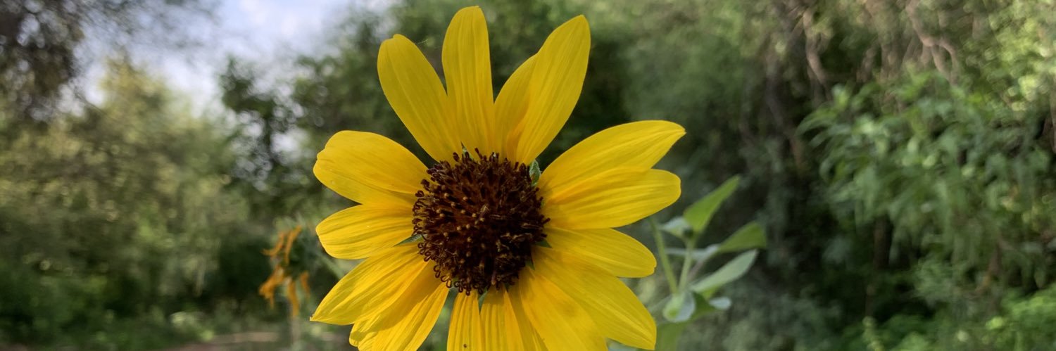 Maryflorji's profile banner image