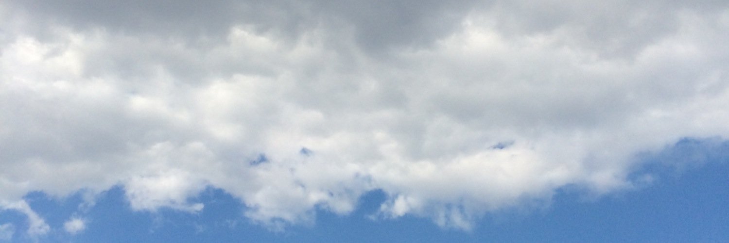 Li_2lbj's profile banner image