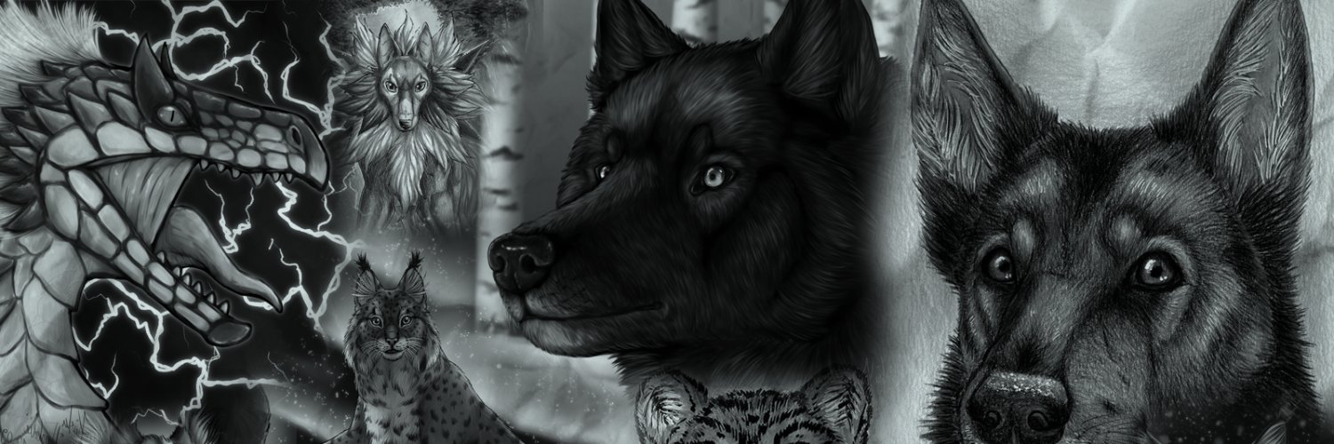 narncolie's profile banner image