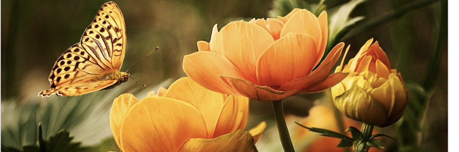 atoriegrace's profile banner image