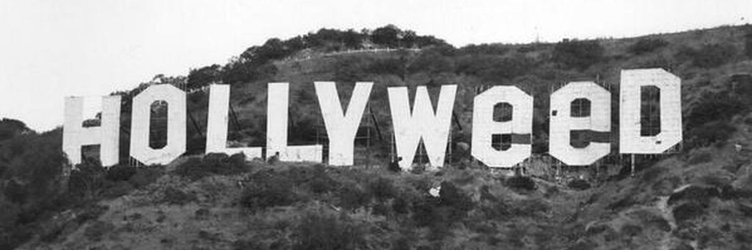 Anticucho Psicodélico🤯 banner