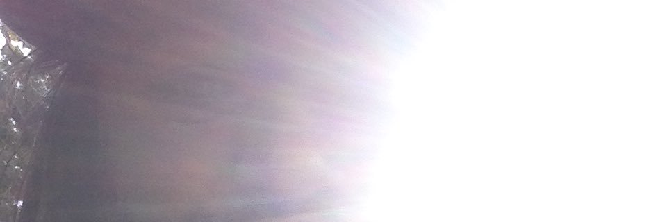 Jared Althaus banner