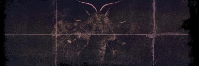 𝔇𝔬𝔱𝔱𝔬𝔯𝔢🧪's banner