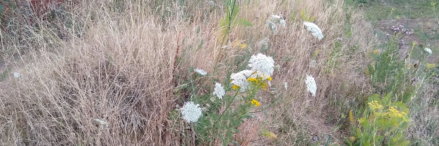 Randall Livingston banner