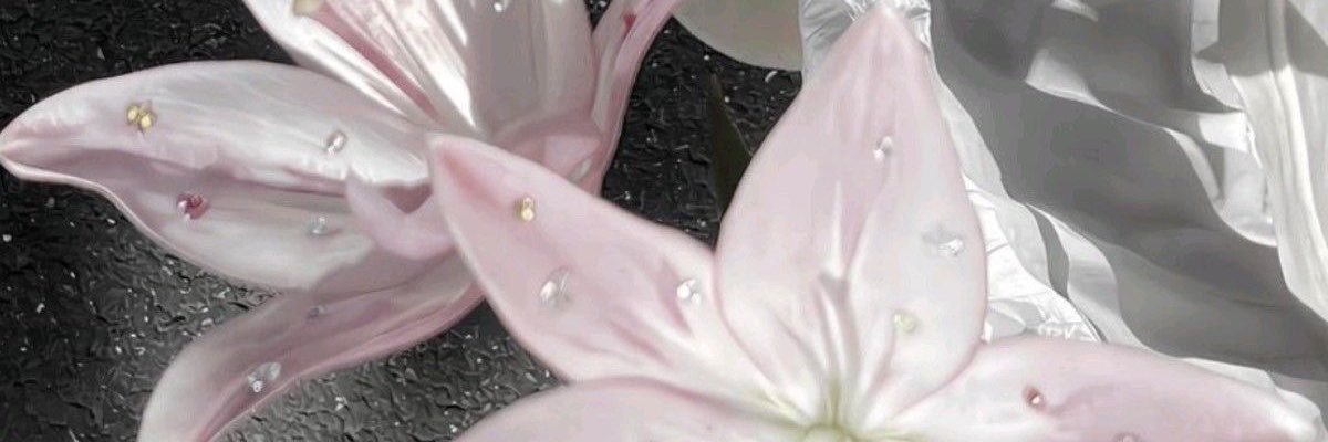 notv4e's profile banner image