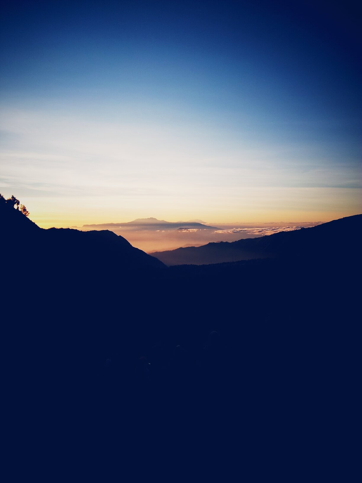 aviedpr's profile banner image