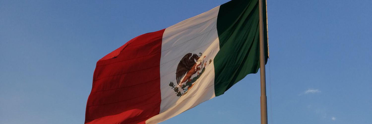 RRVL 🇵🇸🇲🇽 - MÉXICO PUEBLO UNIDO!!!'s banner