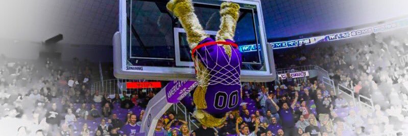 WaldoWildcat's profile banner image