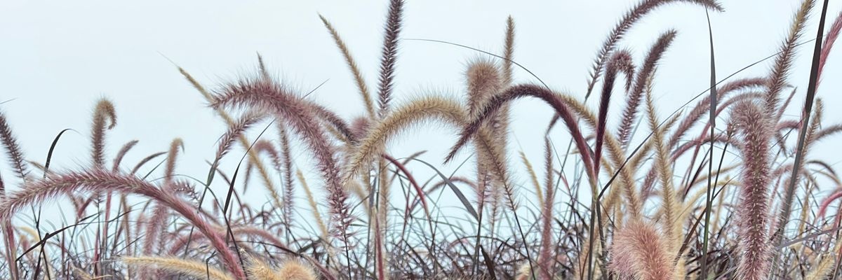 adorablemc__'s profile banner image