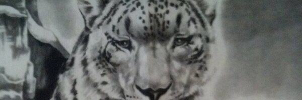 samswilla Profile Banner