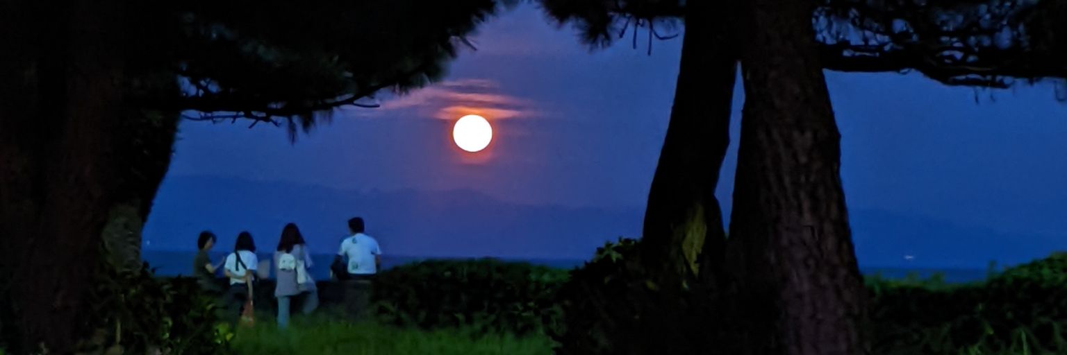 aubamboo's profile banner image