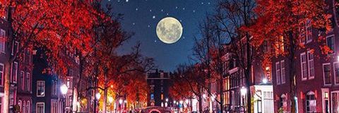 Alidia_agif's profile banner image