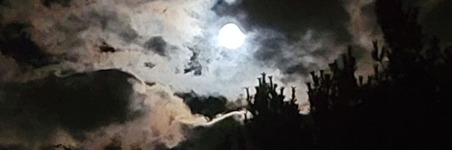Justlilmo's profile banner image