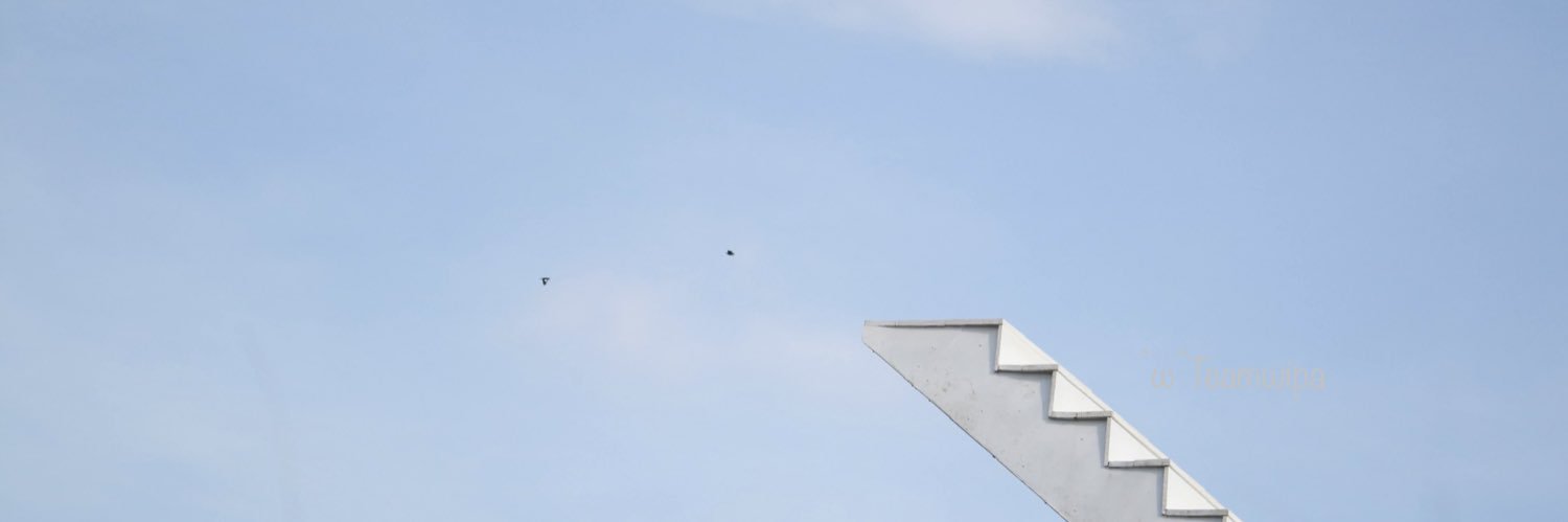 ^ω^  ティム🐰 banner