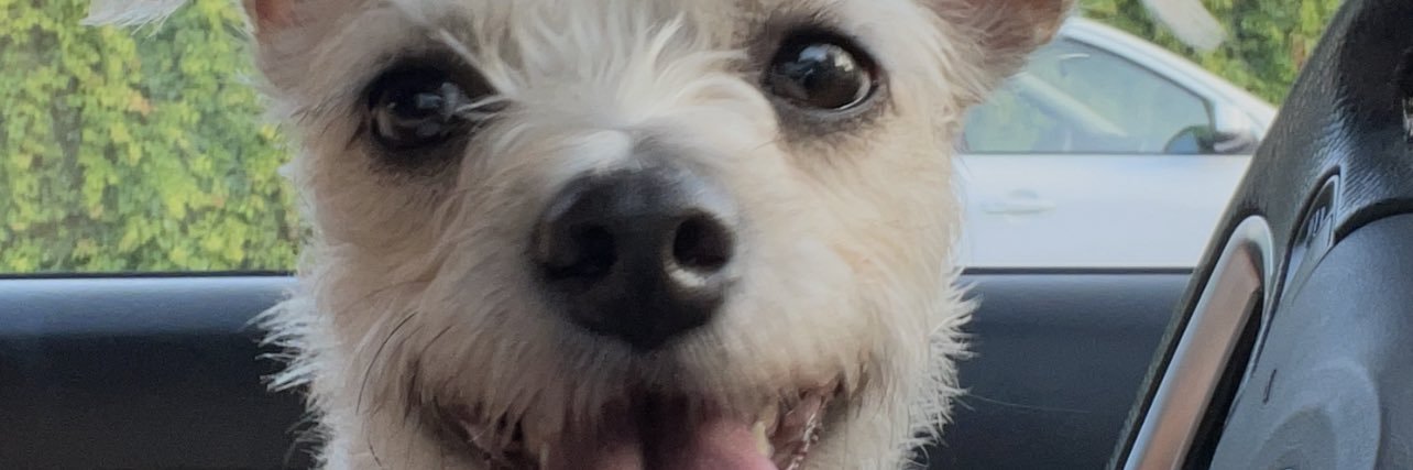 Jorge Santaella banner