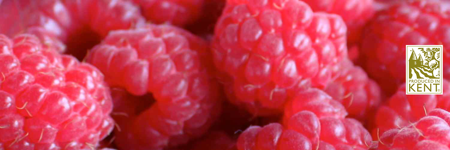 CranbrookCons's profile banner image