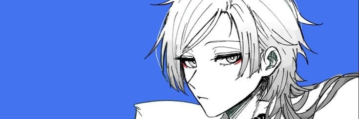 Nyaqua3's profile banner image
