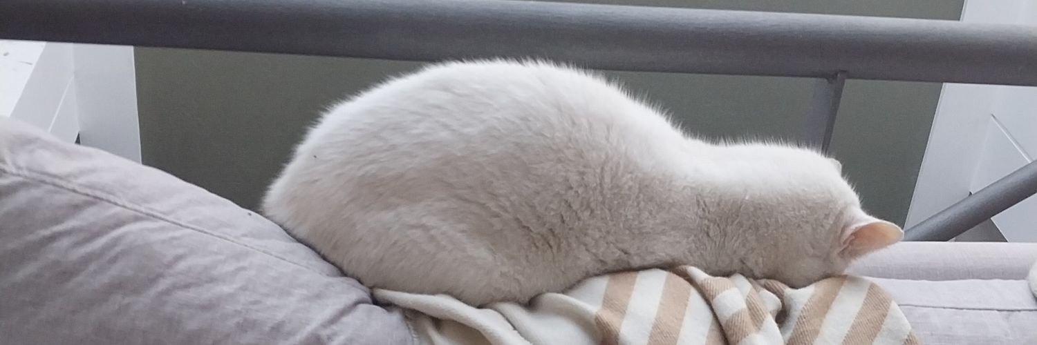 _r0oo0r_'s profile banner image