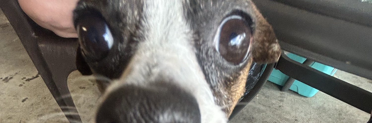 asscheakss's profile banner image