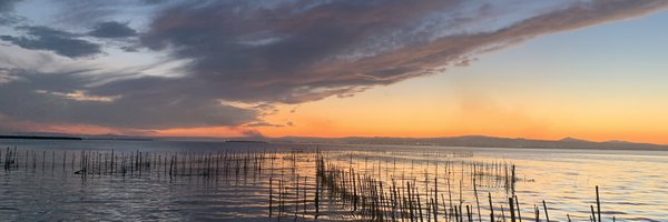 TOSLI13 Profile Banner