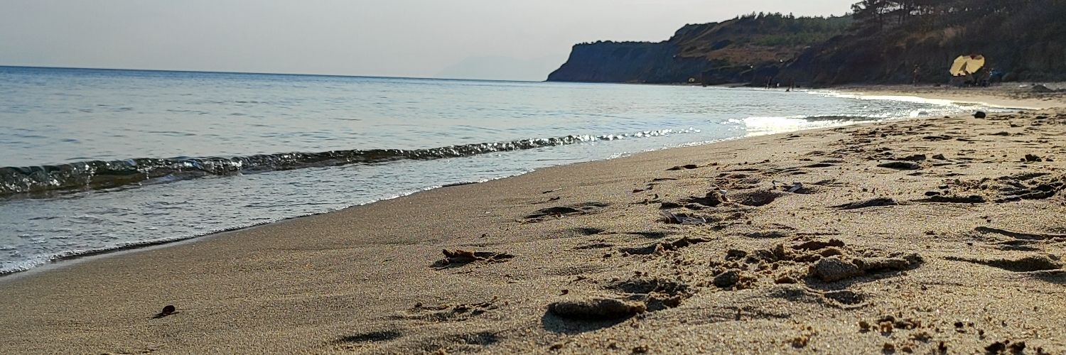 Ercan ÖDÜL banner