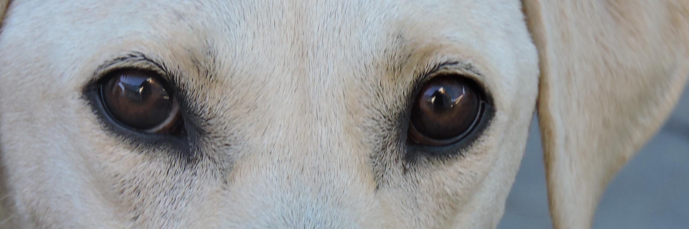 PontesRudy's profile banner image