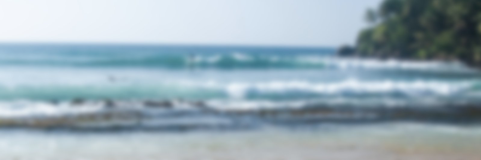 Lachlancbd's profile banner image