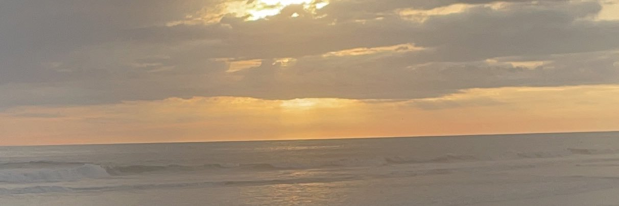 carolynsage's profile banner image