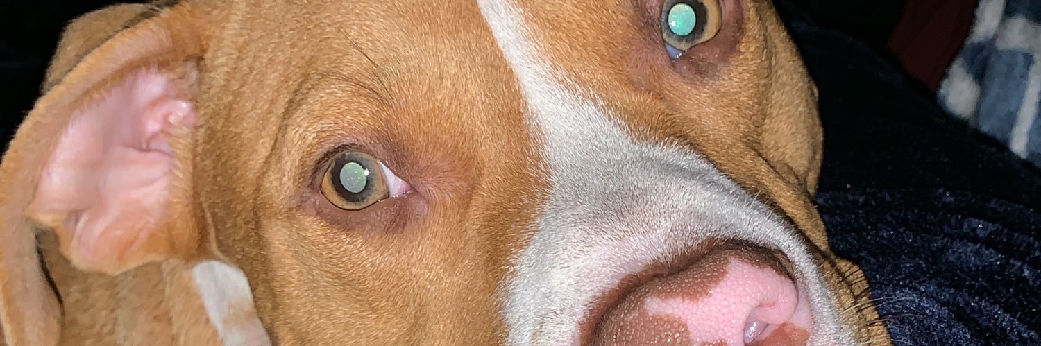 dmnIts_Danny's profile banner image
