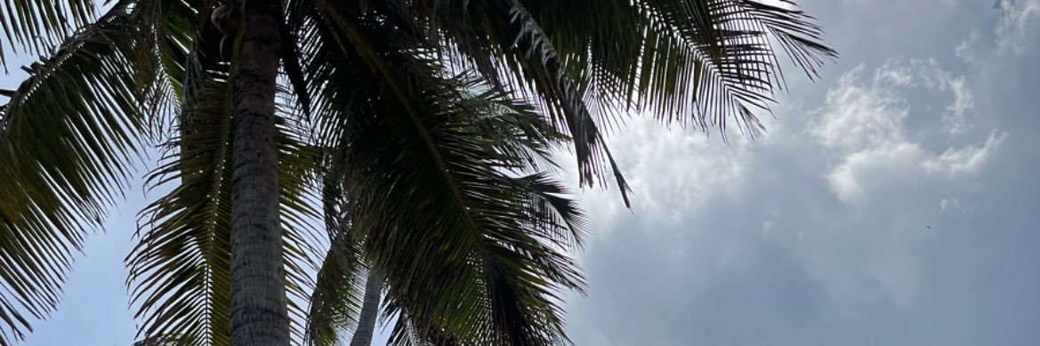Jazibebv's profile banner image