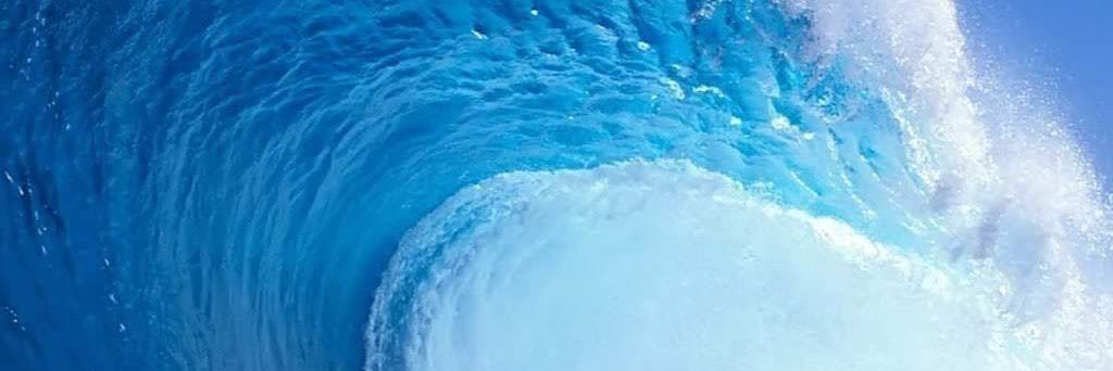 💙 Jacqueline banner