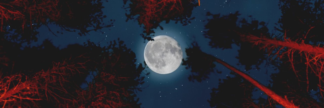 seabarresi's profile banner image