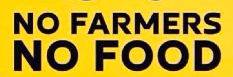 Kerry banner