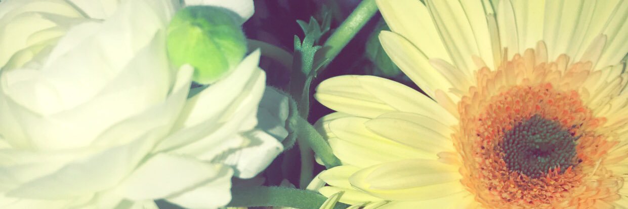 Taylor🌙Moon✨ banner