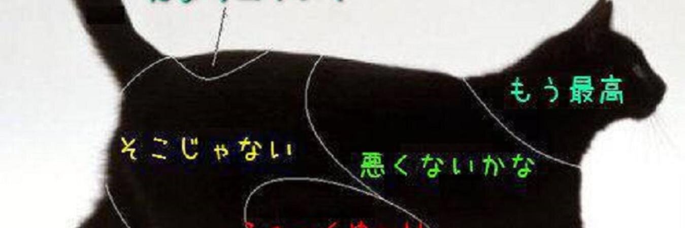 kuronyansan's profile banner image