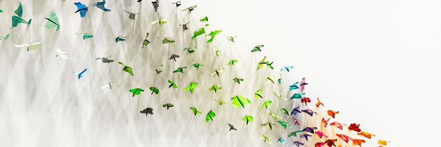 Blue and Joy banner