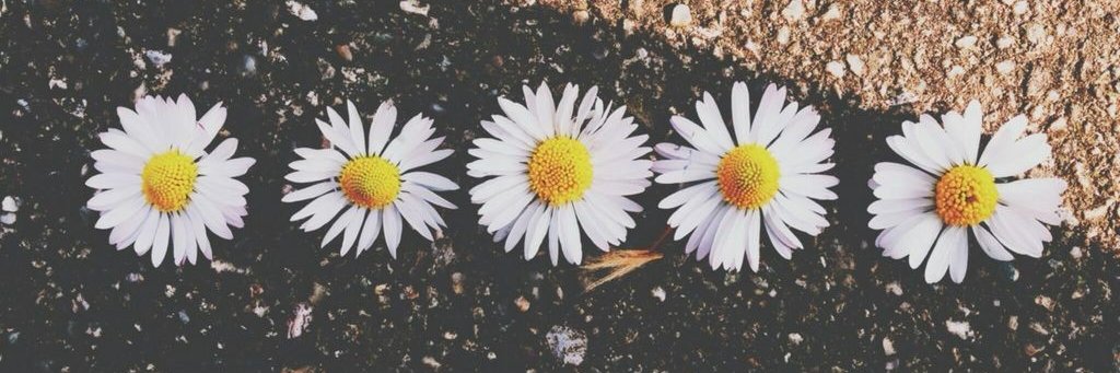 marimhasnn's profile banner image