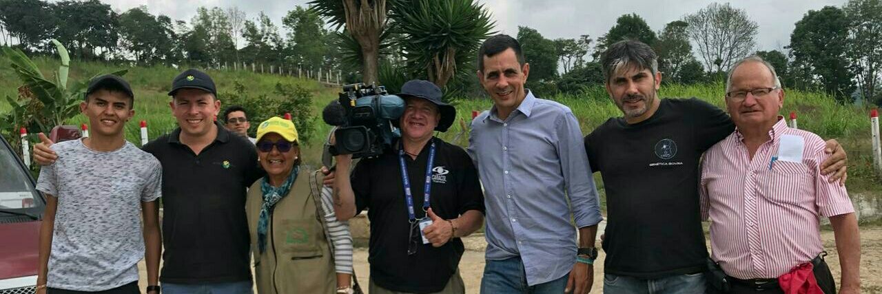 NoticiasNelson's profile banner image